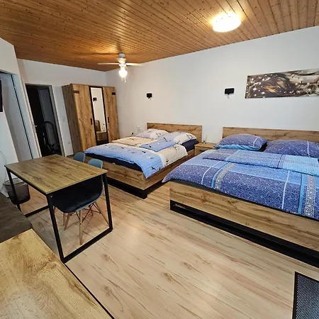 Pension Haus Erika-2