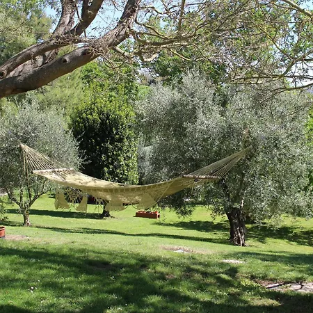 Campo Del Mare-3