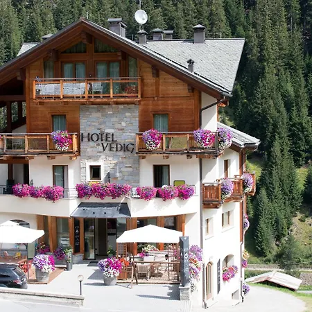 Hotel Vedig-3