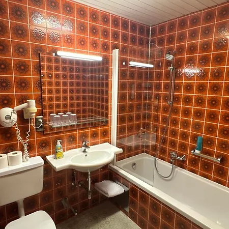 Hotel Goldener Löwe-3