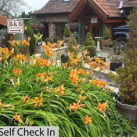 Bridge Farm Guesthouse Rooms-3