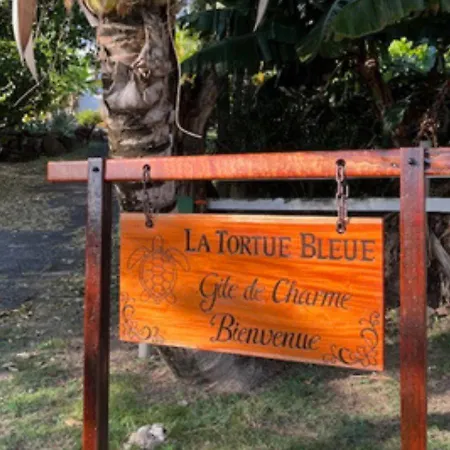BUNGALOW La Tortue Bleue-3