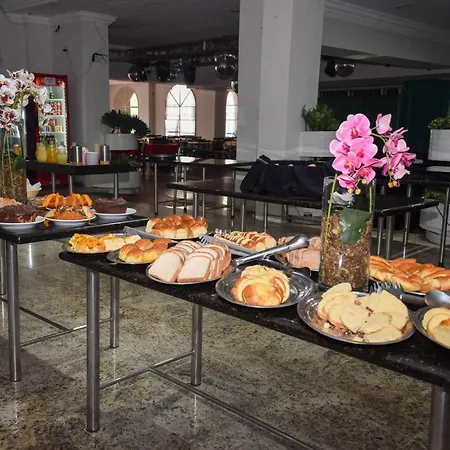 Alzira Park Hotel Ltda-3