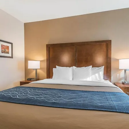 Comfort Inn Concord South End-3