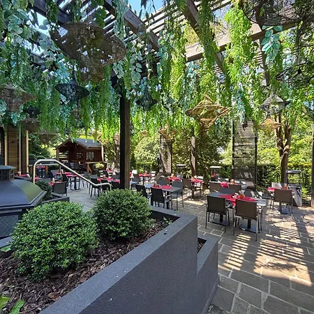 Parkhotel Luise Bad Herrenalb-2