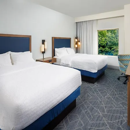 Hampton Inn & Suites-Asheville Biltmore Village, Nc-3