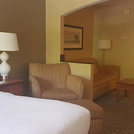 Holiday Inn Express & Suites Carbondale - University Area-3