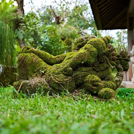 Ayurvedagram Bali - Wellness & Retreat Resort-3