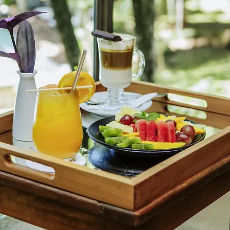 Mercure Iguazu Hotel Iru-2