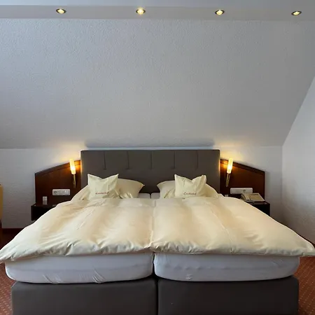 Hotel Lindenhof-2