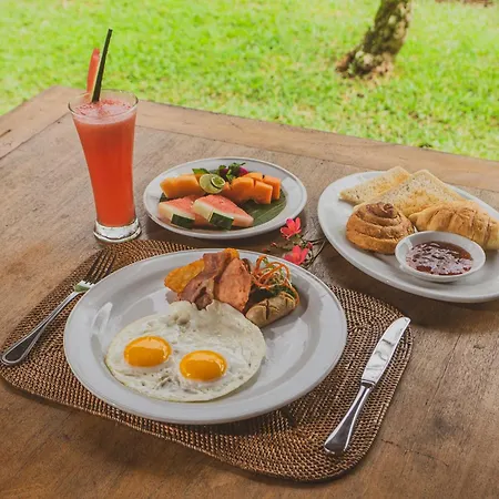 Alpin Resort And Villa Ubud-3