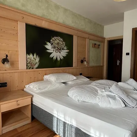 Caminetto Mountain Resort-2