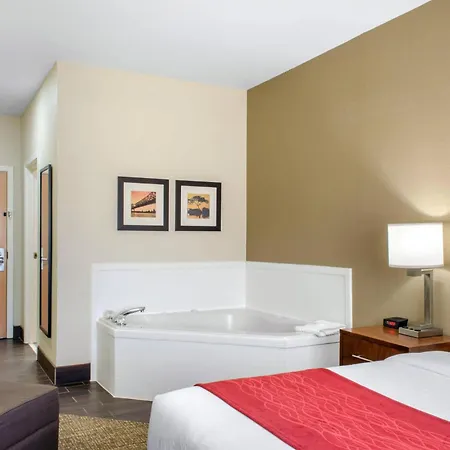 Comfort Inn & Suites Covington - Mandeville-3