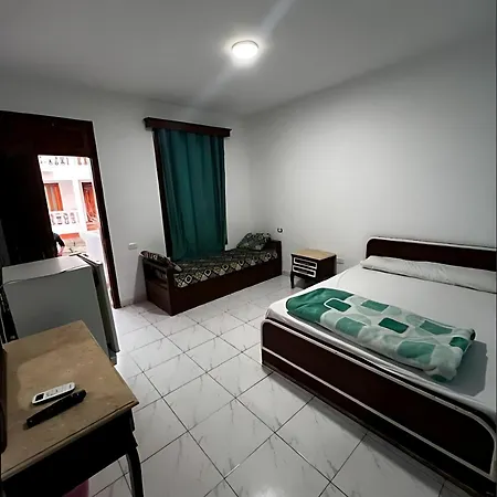 Octopus Hotel-2