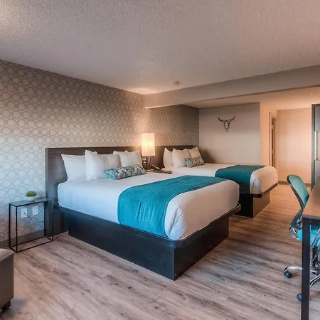 The Hotel Y, A Dazzler Select By Wyndham-2