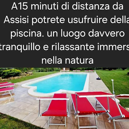 Case Brizi 10-3