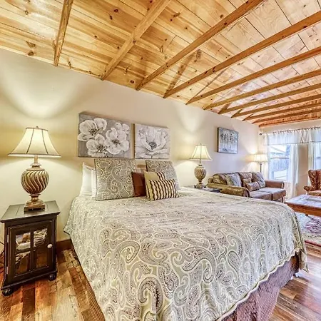 Adorable Studio Cabin With Covered Porch, Near Main Street, 2 Dogs Ok-2