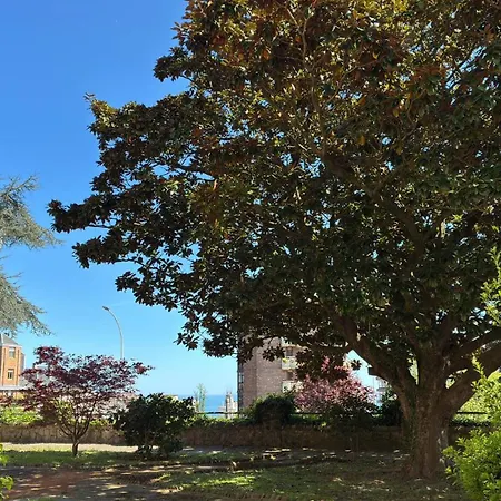 Residencia Universitaria Alto De Miranda - Resisantander-3