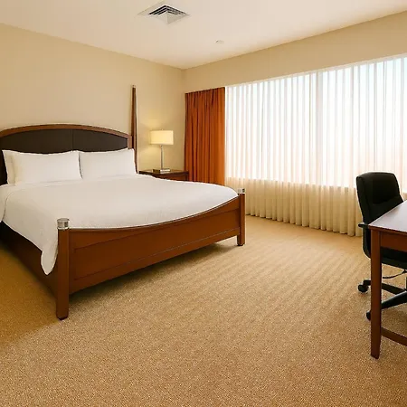 Holiday Inn Sacramento Downtown-Arena By Ihg-3