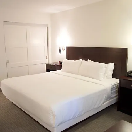 The Volare, An Ascend Collection Hotel-3