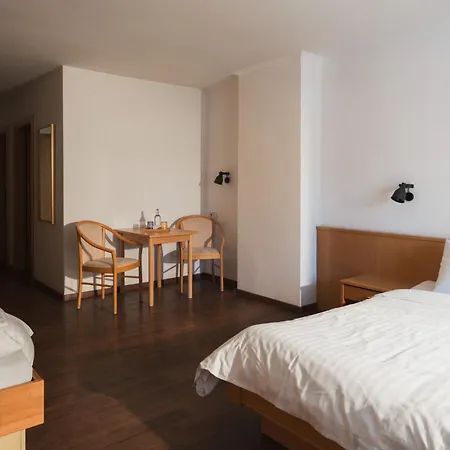 Hotel ALPINA-2
