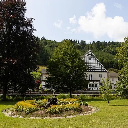 Hotel Tiefenhagen Sauerland-3