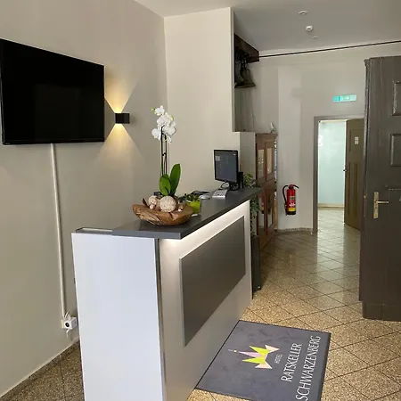 Hotel Ratskeller Schwarzenberg-3