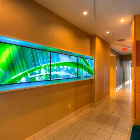 Springhill Suites By Marriott - Tampa Brandon-3