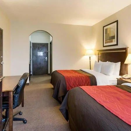 Comfort Inn & Suites Winnie-3