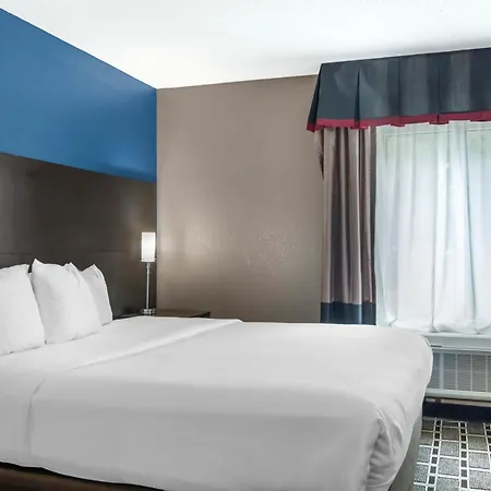Comfort Suites Nashville Airport - Bna-2