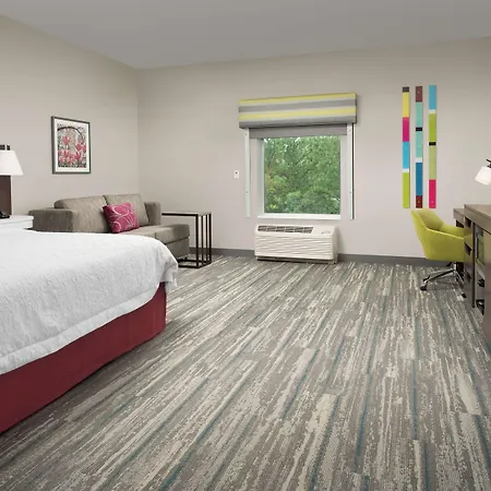 Hampton Inn & Suites Charlotte Airport Lake Pointe-3