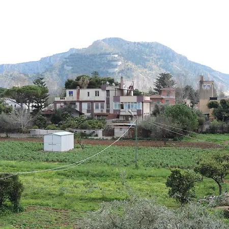 Bed&Breakfast Il Girasole-2