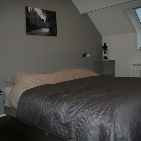 Thorn B&B-2