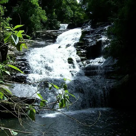 Terra Do Sempre - Reserva Ambiental-3