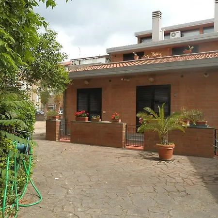 Cav Brunella-2