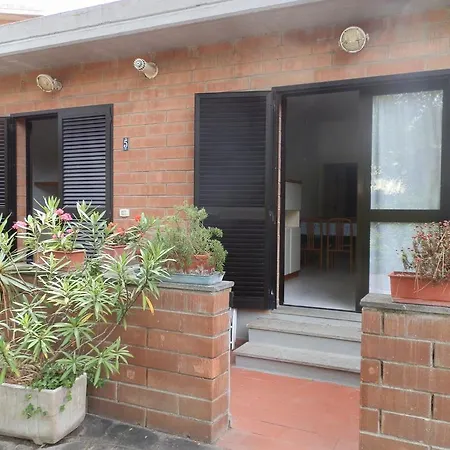 Cav Brunella-3