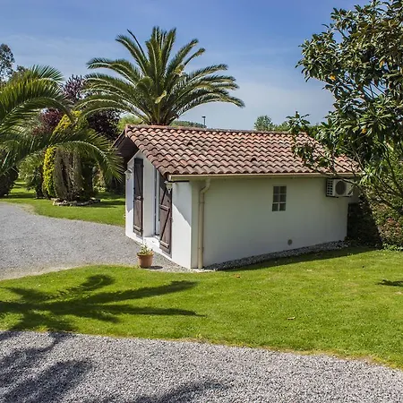 Villa Yoda-2