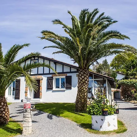 Villa Yoda-3