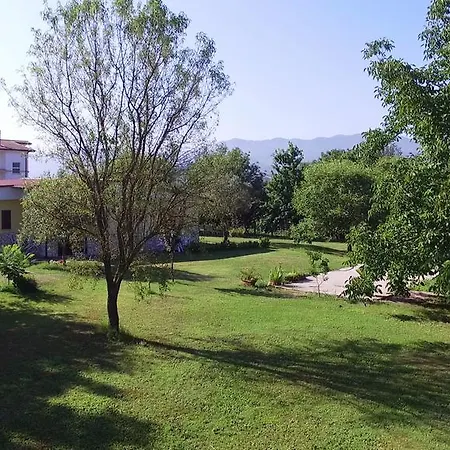 B&B Luna-2