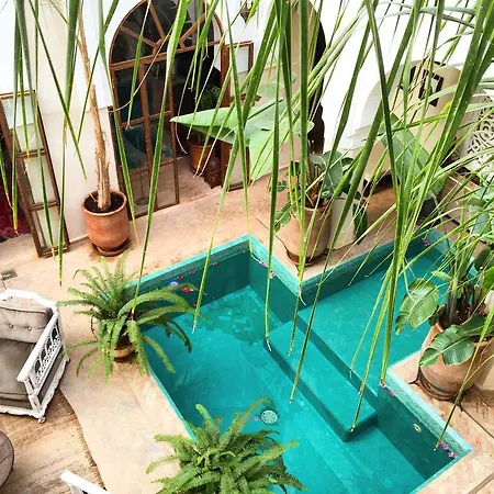 Riad Palacio De Las Especias-2
