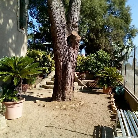 B&B Il Vigneto-2