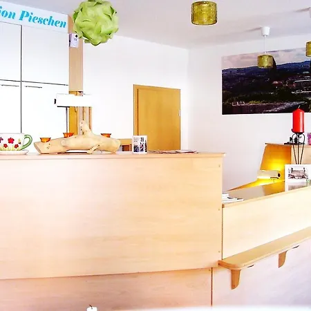 Pension Pieschen Dresden-2