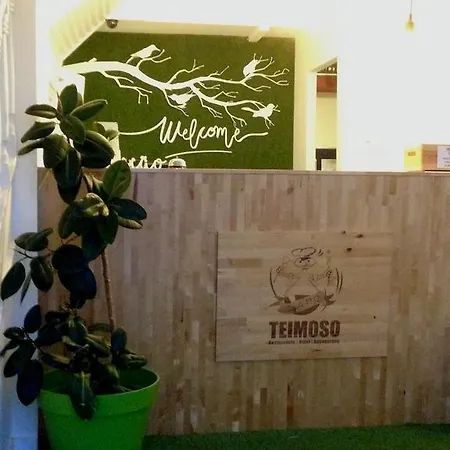 Hotel Teimoso-2