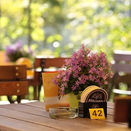 Gasthof Roessle-3