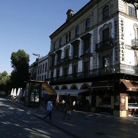 Hostal Dalis-2