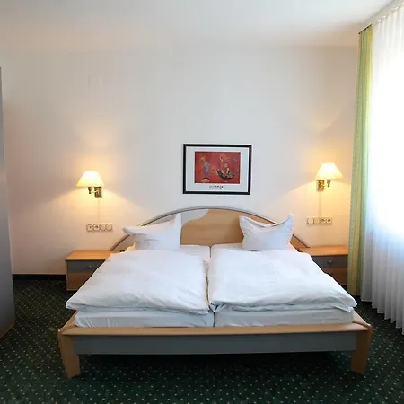Hotel Hirsch-2