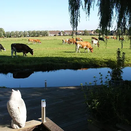 B&B-Edam-3