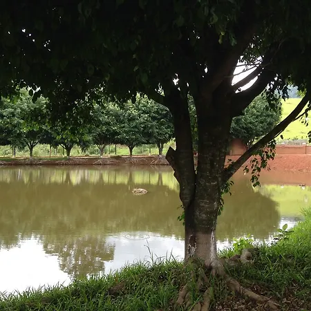 Pousada Recanto das Aves-3