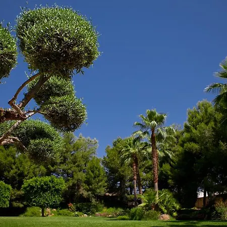 Jardines De Amaltea-2
