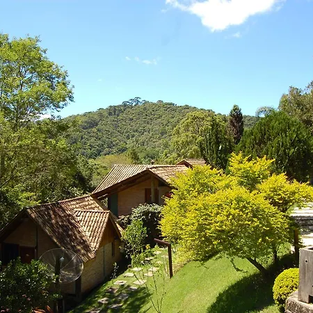 Pássaro de Fogo-2